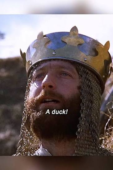 a duck